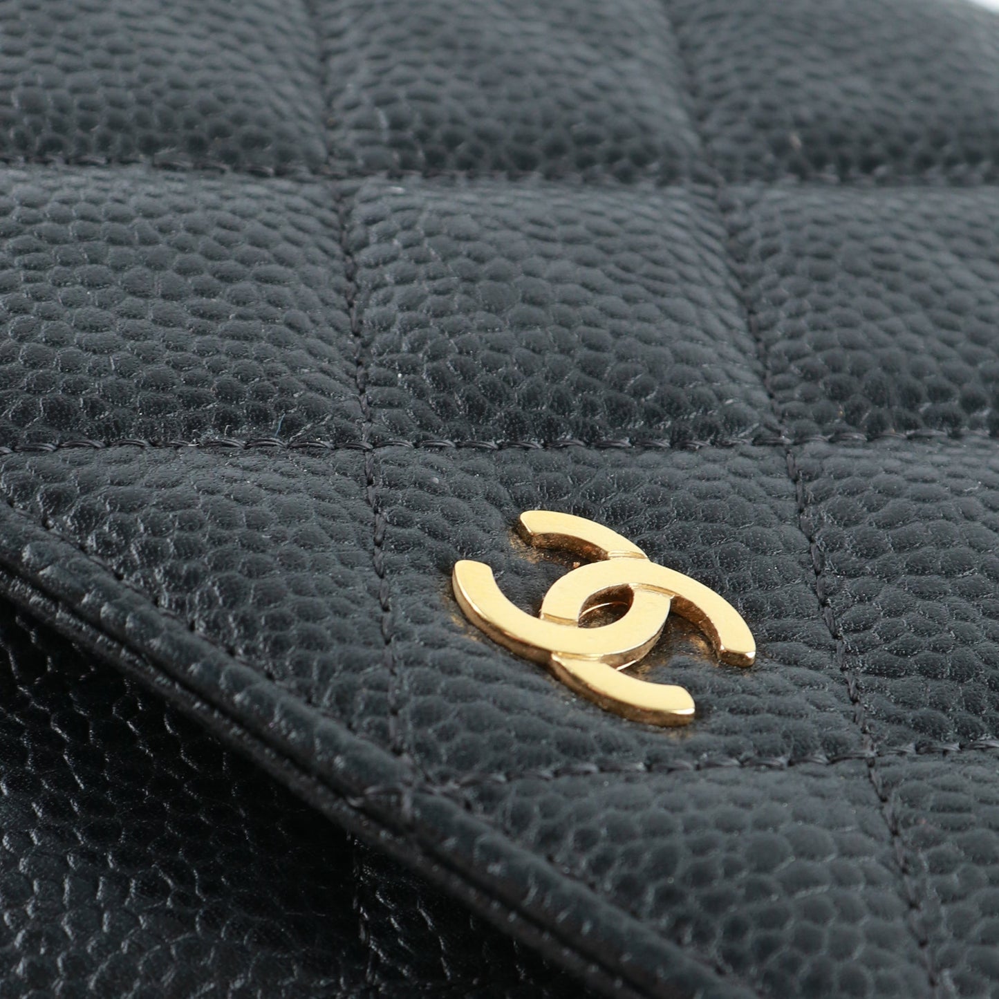 CHANEL CHANEL Handbags Wallet On Chain Timeless/Classique