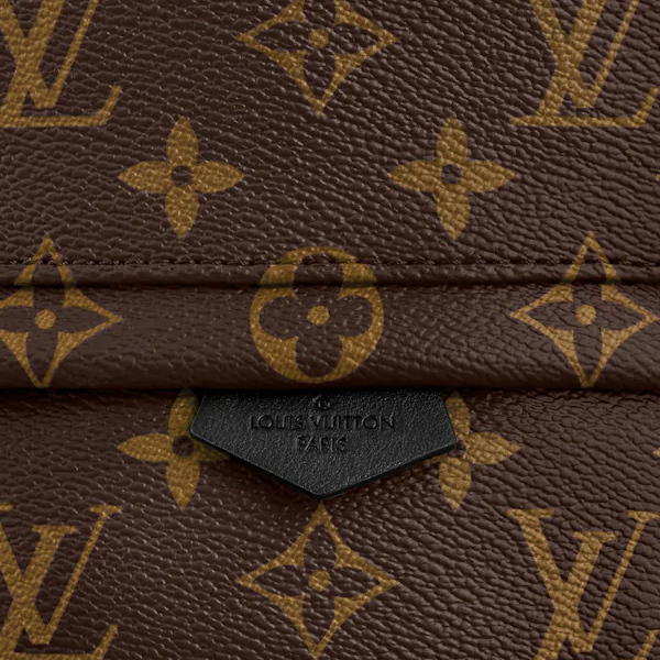 LV Palm Springs Backpack Mini Monogram