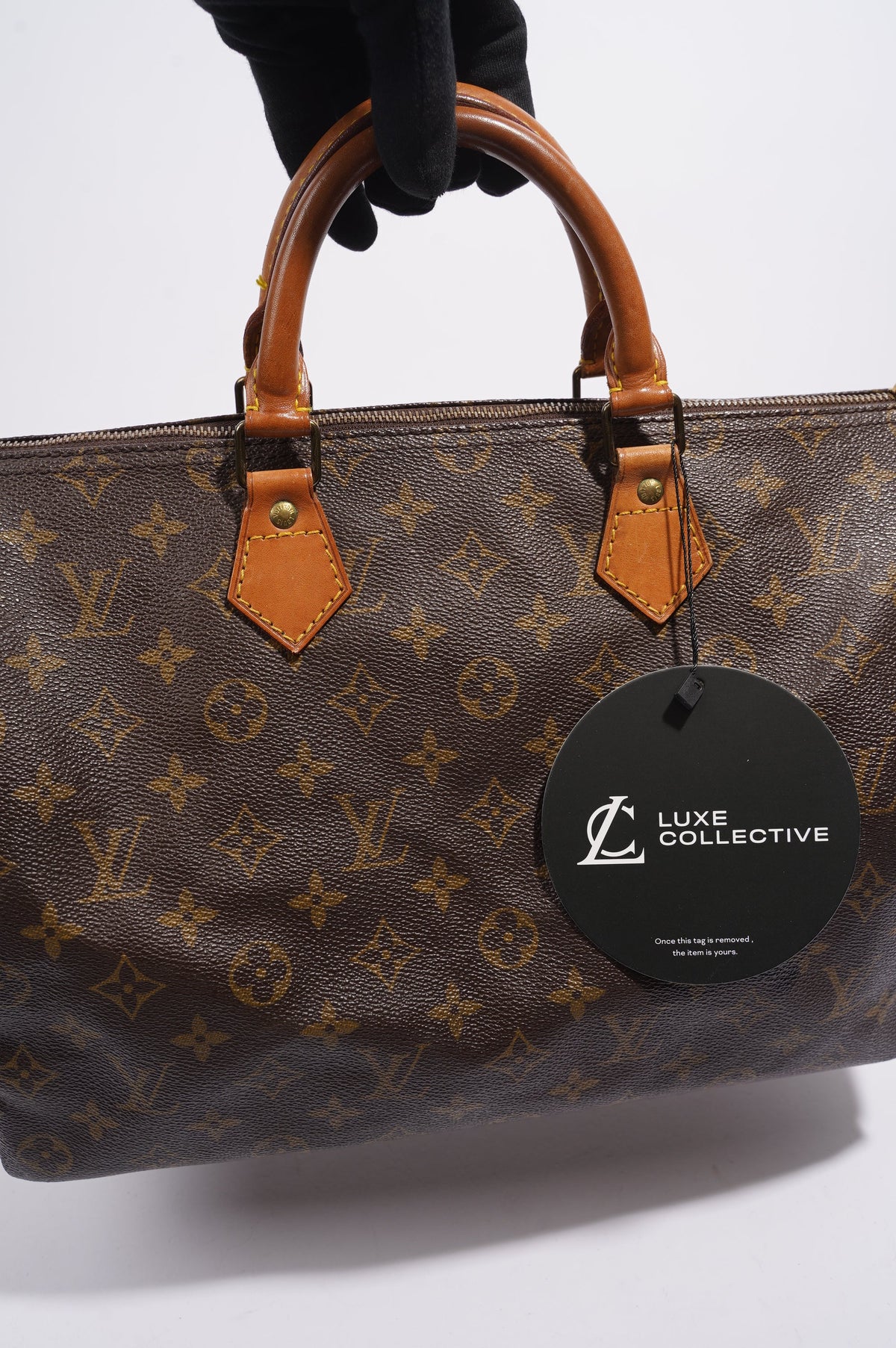 Louis Vuitton Speedy Monogram Canvas 35