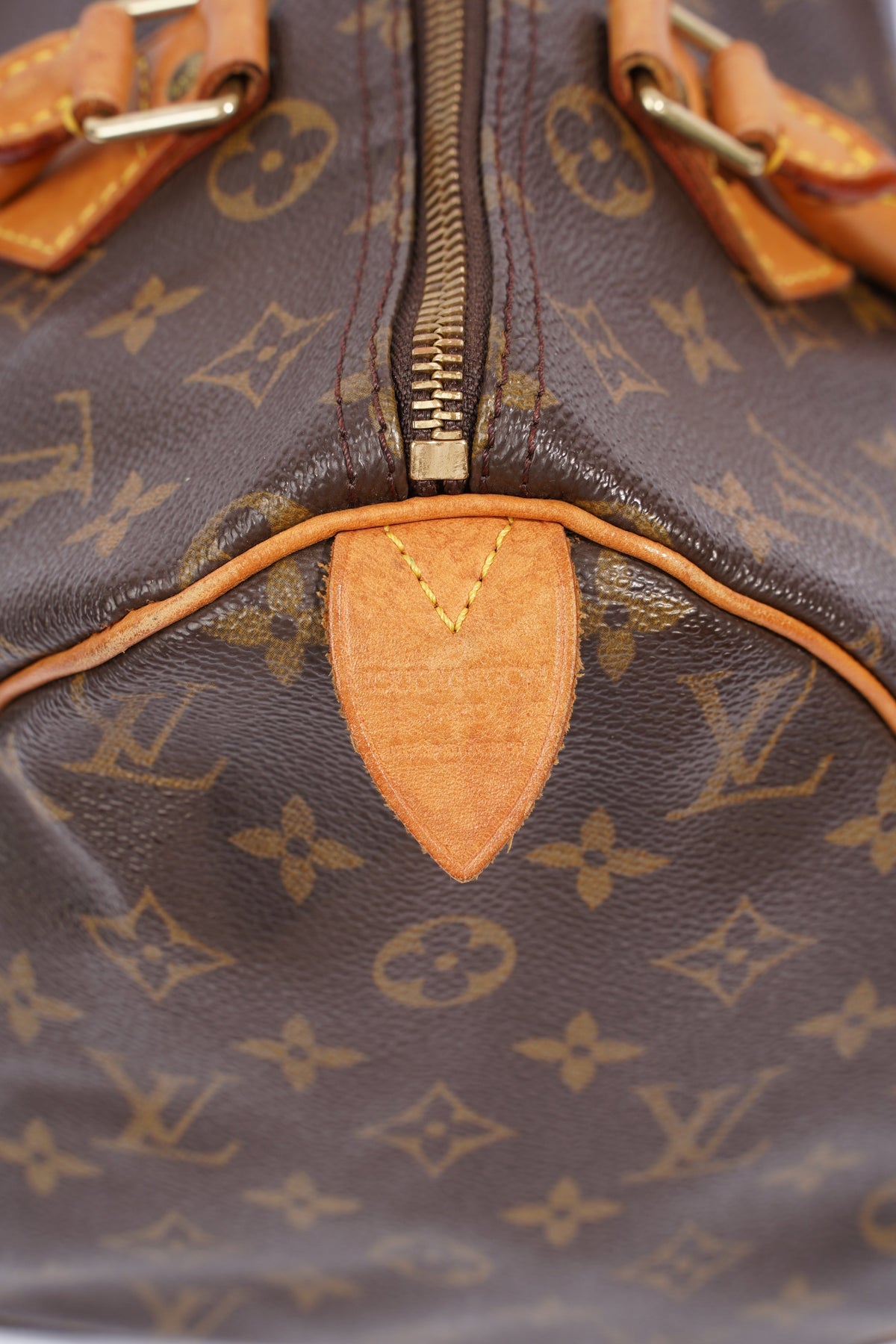 Louis Vuitton Speedy Monogram Canvas 30