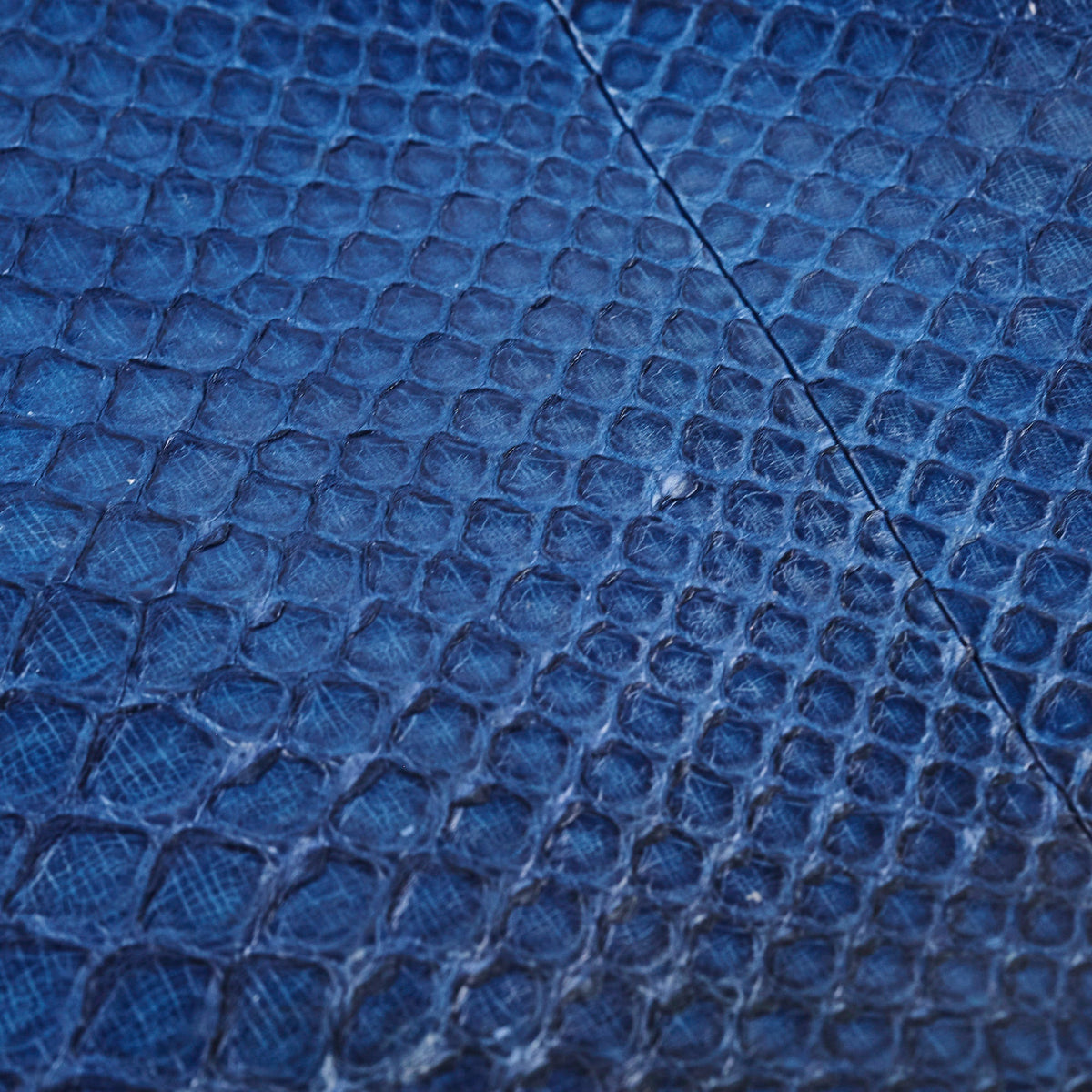Chanel O case Medium Exotic Leather Blue