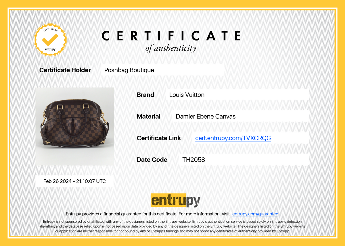 LOUIS VUITTON Trevi PM Damier Ebene Canvas Bag