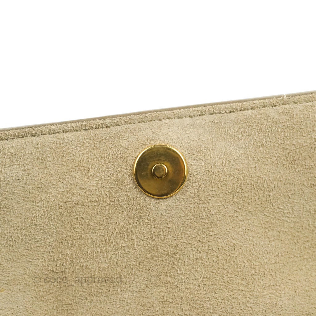 Celine Grained Calfskin Nano Belt Bag Light Taupe Gold Hardware