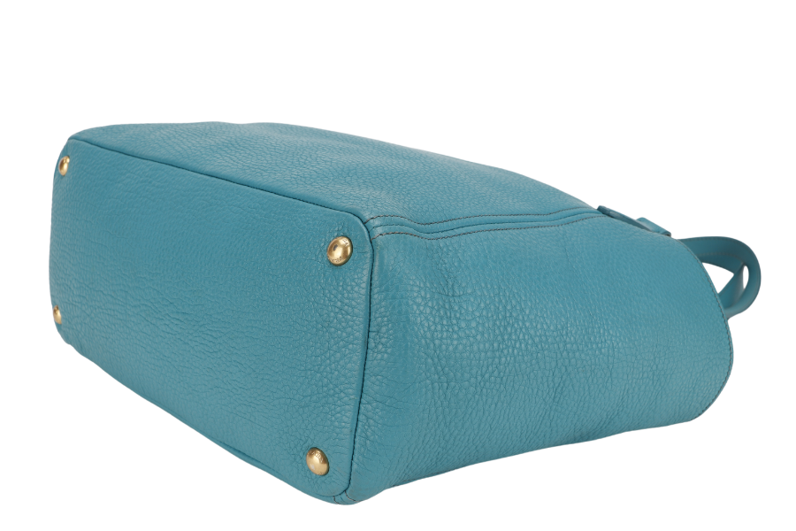 PRADA BR4970 SHOULDER BAG PAVONE VITTELO DAINO LEATHER GOLD HARDWARE WITH CARD