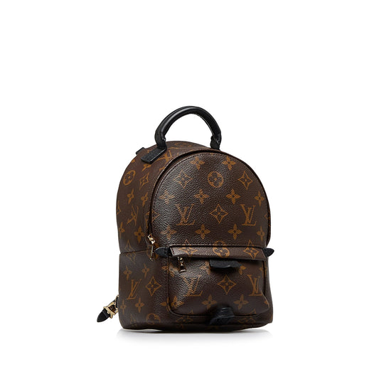 LOUIS VUITTON Monogram Palm Springs Mini Backpack