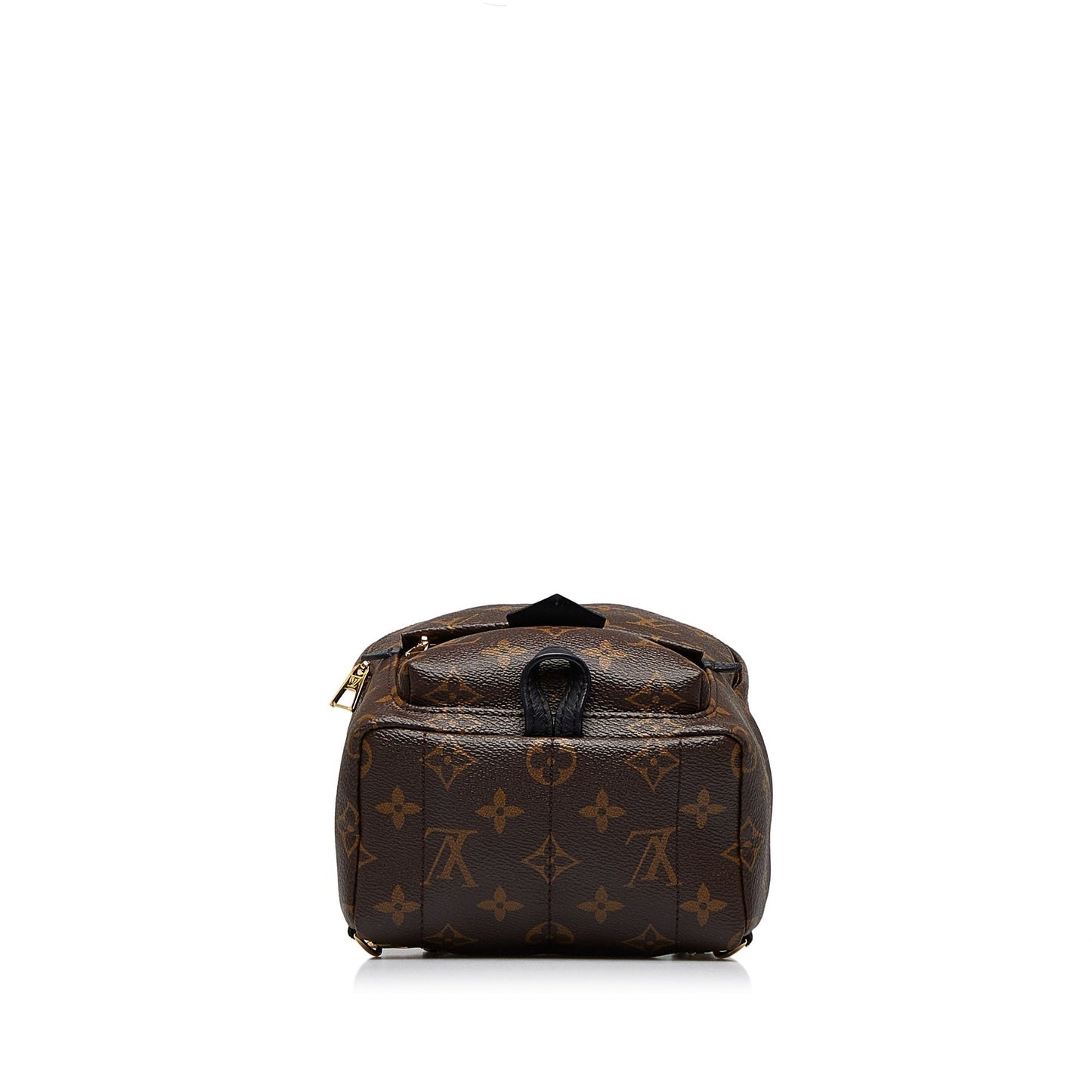 LOUIS VUITTON Monogram Palm Springs Mini Backpack