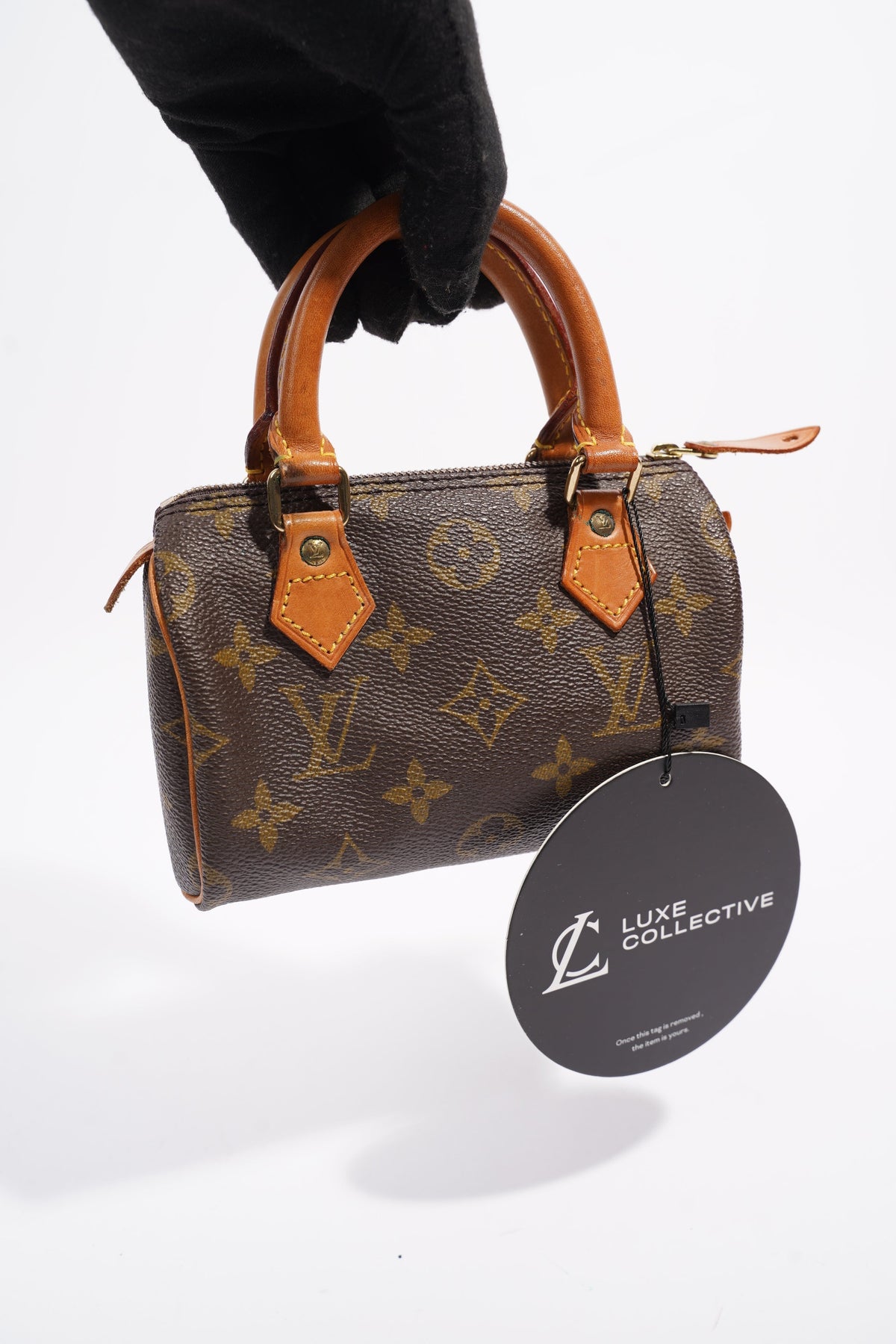 Louis Vuitton Nano Speedy Monogram Coated Canvas