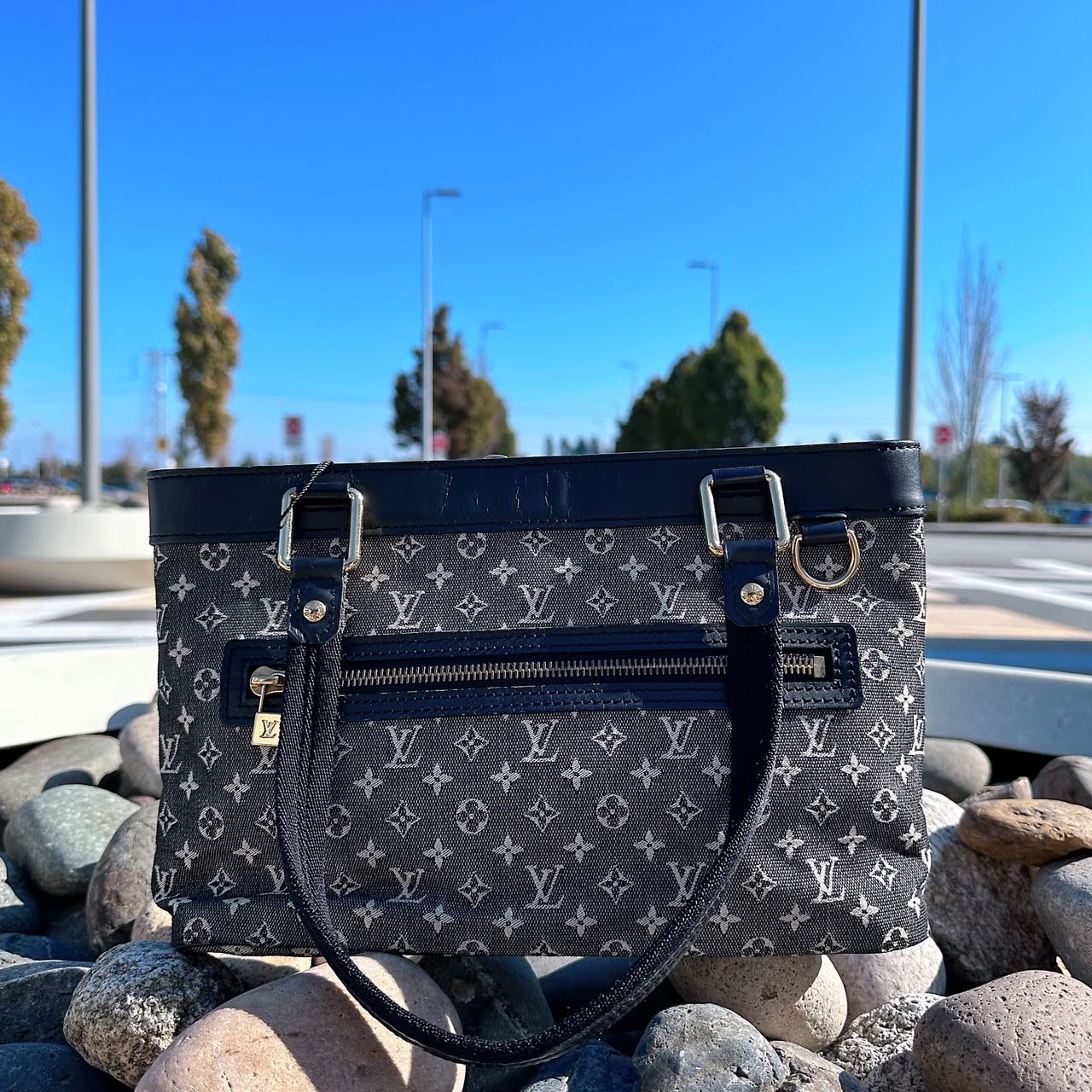 Louis Vuitton Monogram PM Canvas Lucille Shoulder Bag TWS