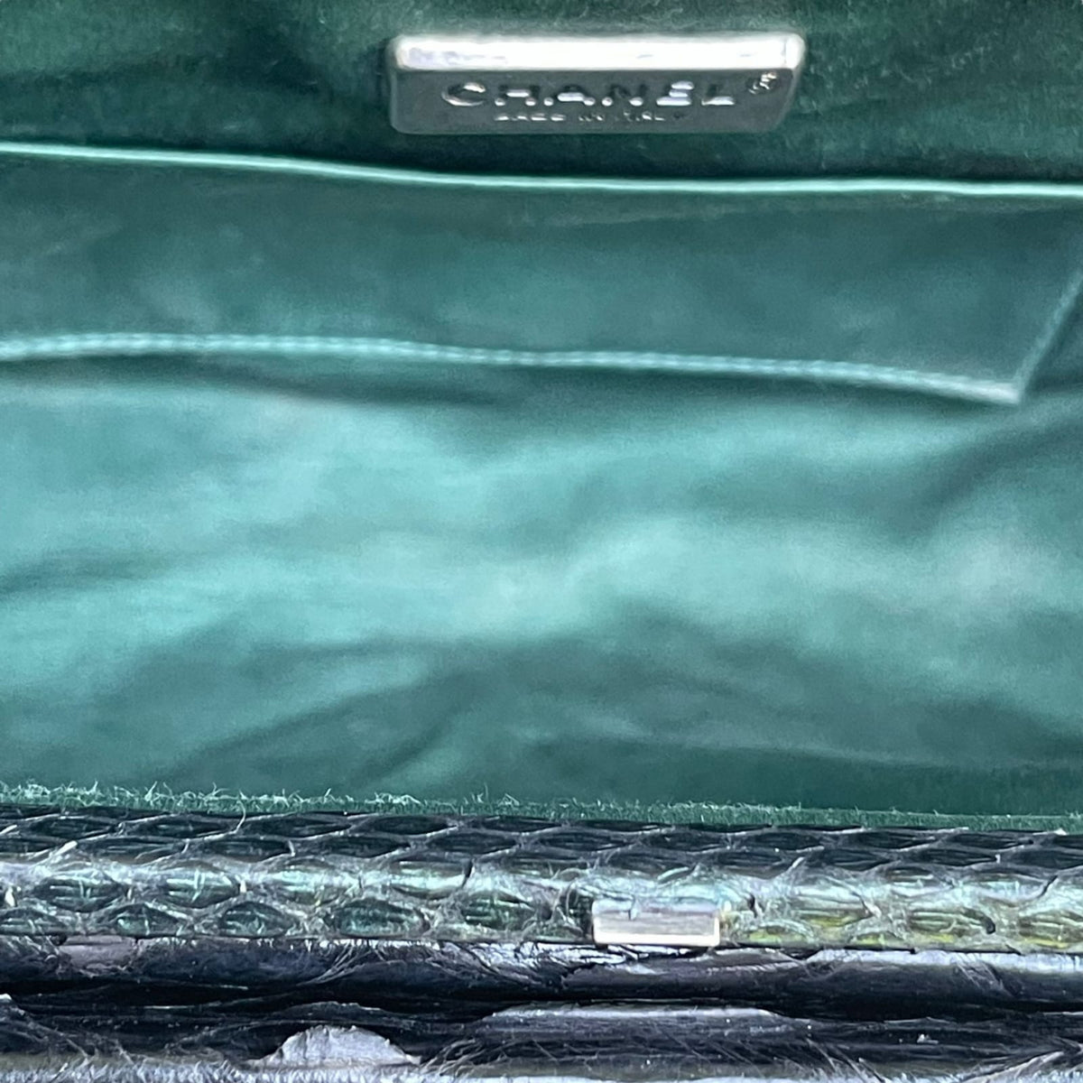Exotic Python Clutch Green RHW
