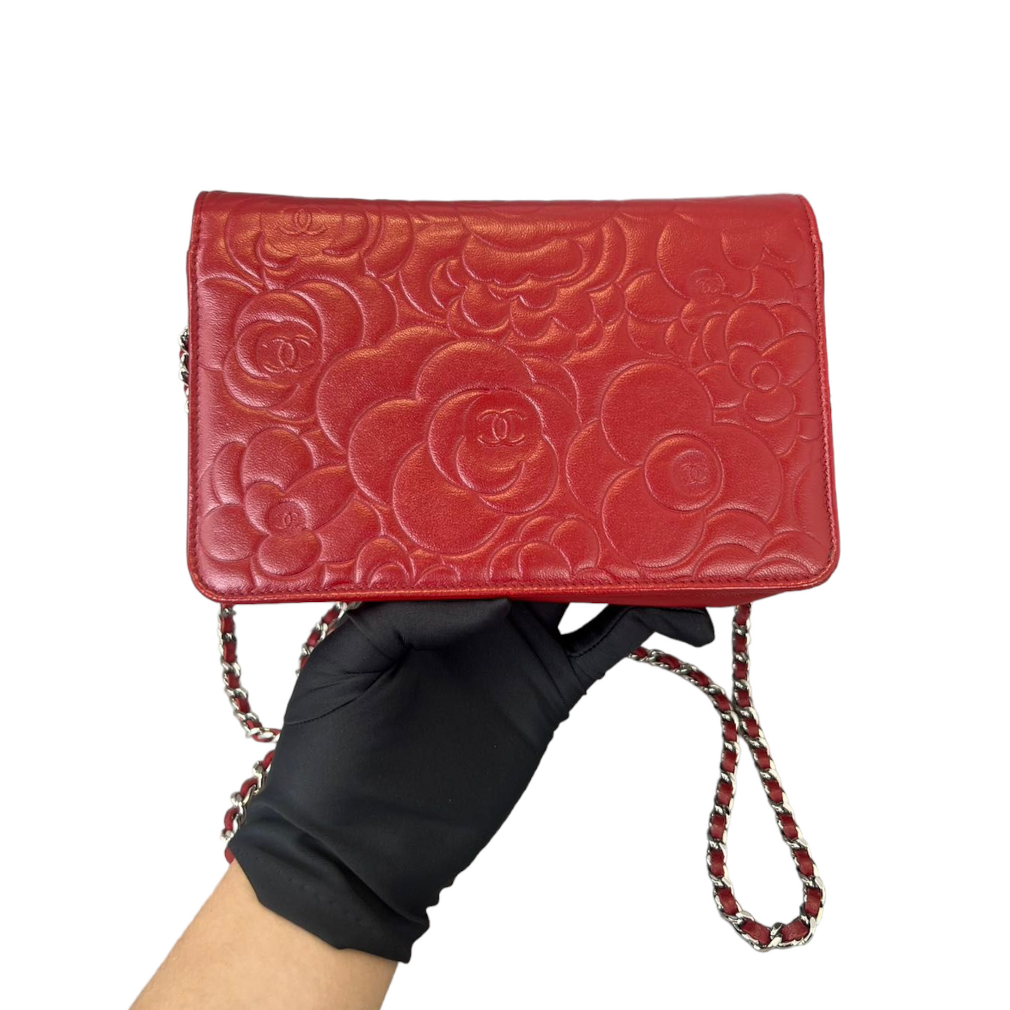 Camellia Wallet on Chain Red SHW