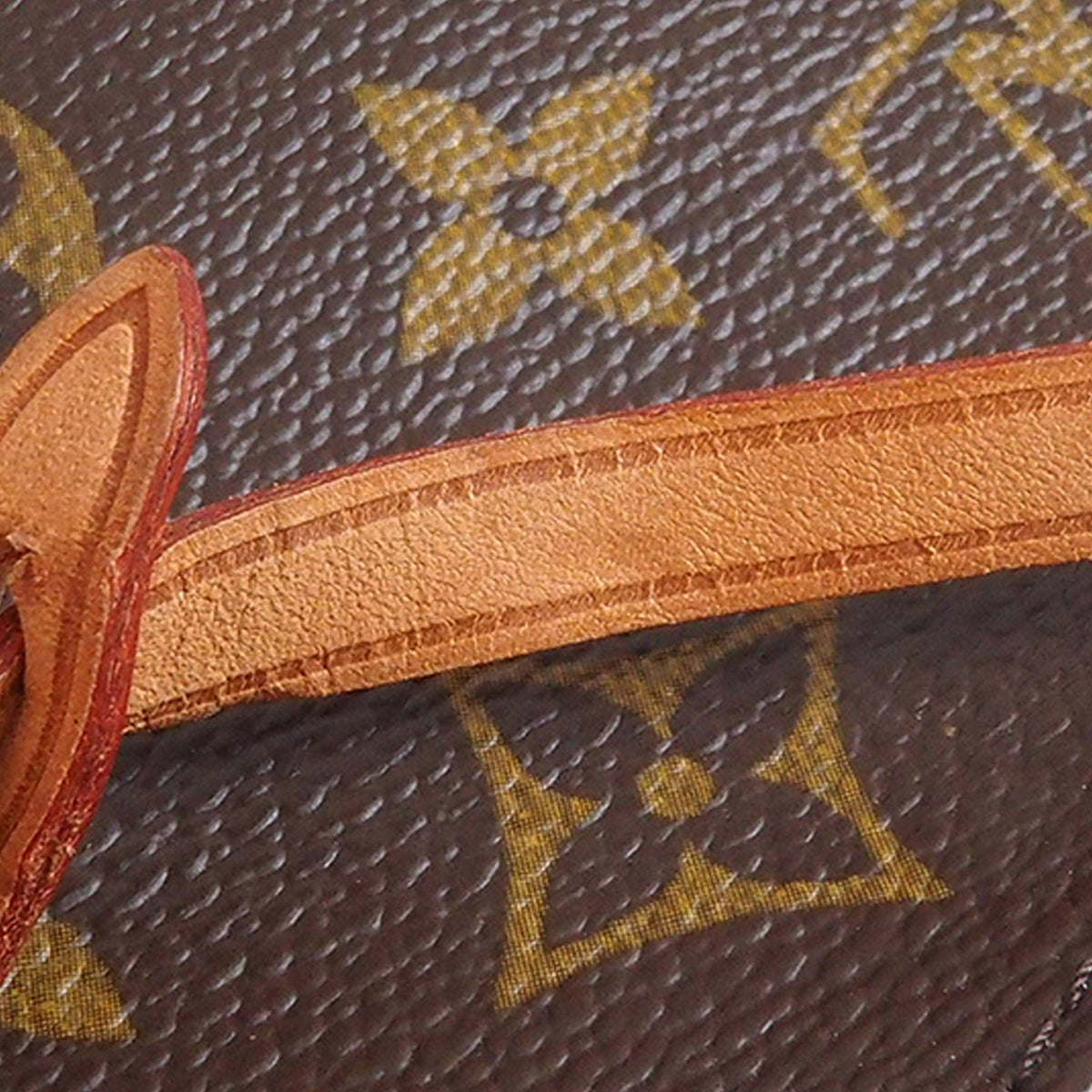 Louis Vuitton Pochette Accessoires Monogram Canvas