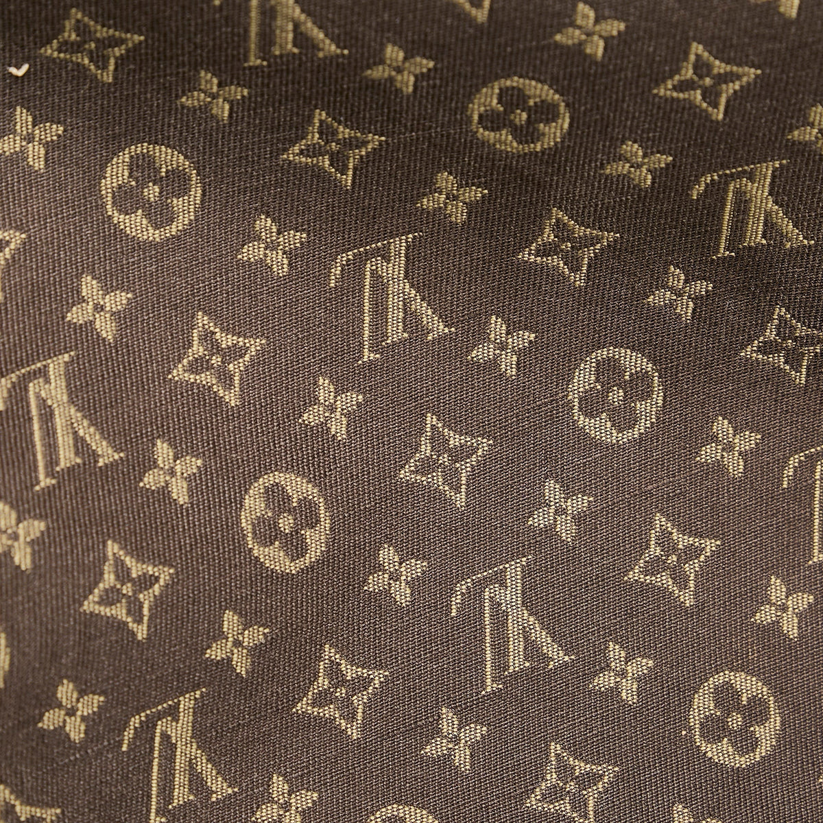 Louis Vuitton Speedy 30 Brown Mini Lin