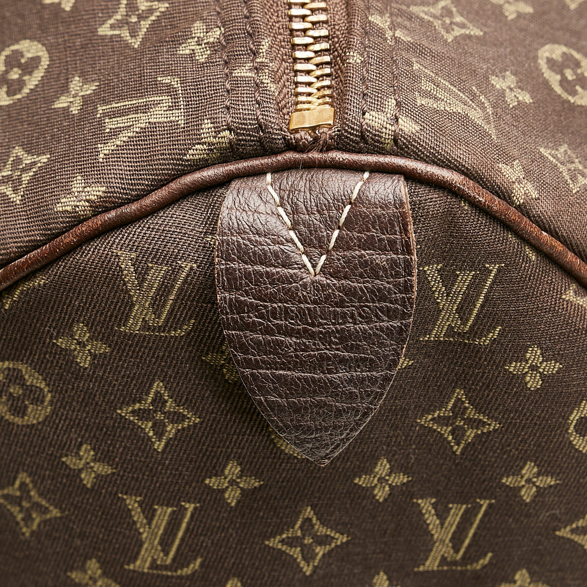 Louis Vuitton Speedy 30 Brown Mini Lin