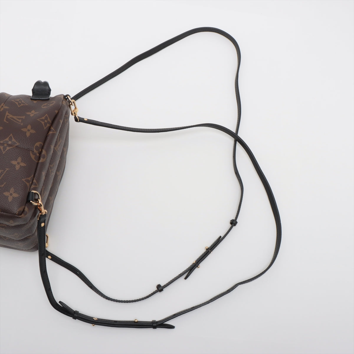 LOUIS VUITTON Palm Springs Mini in Monogram M44873