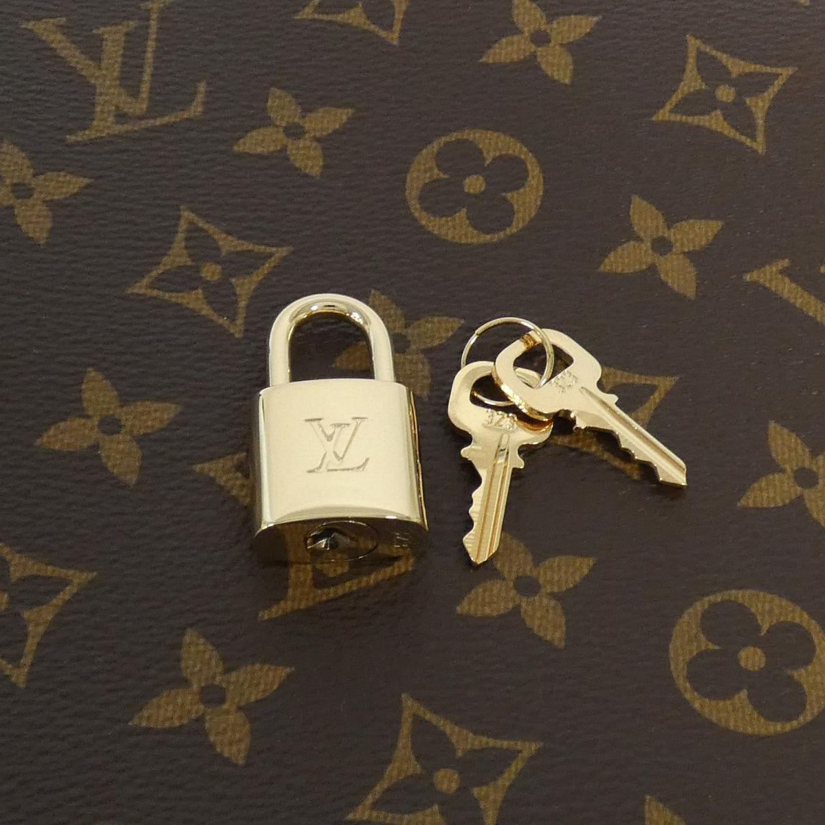 Louis Vuitton Petit Palais Pm Bag
