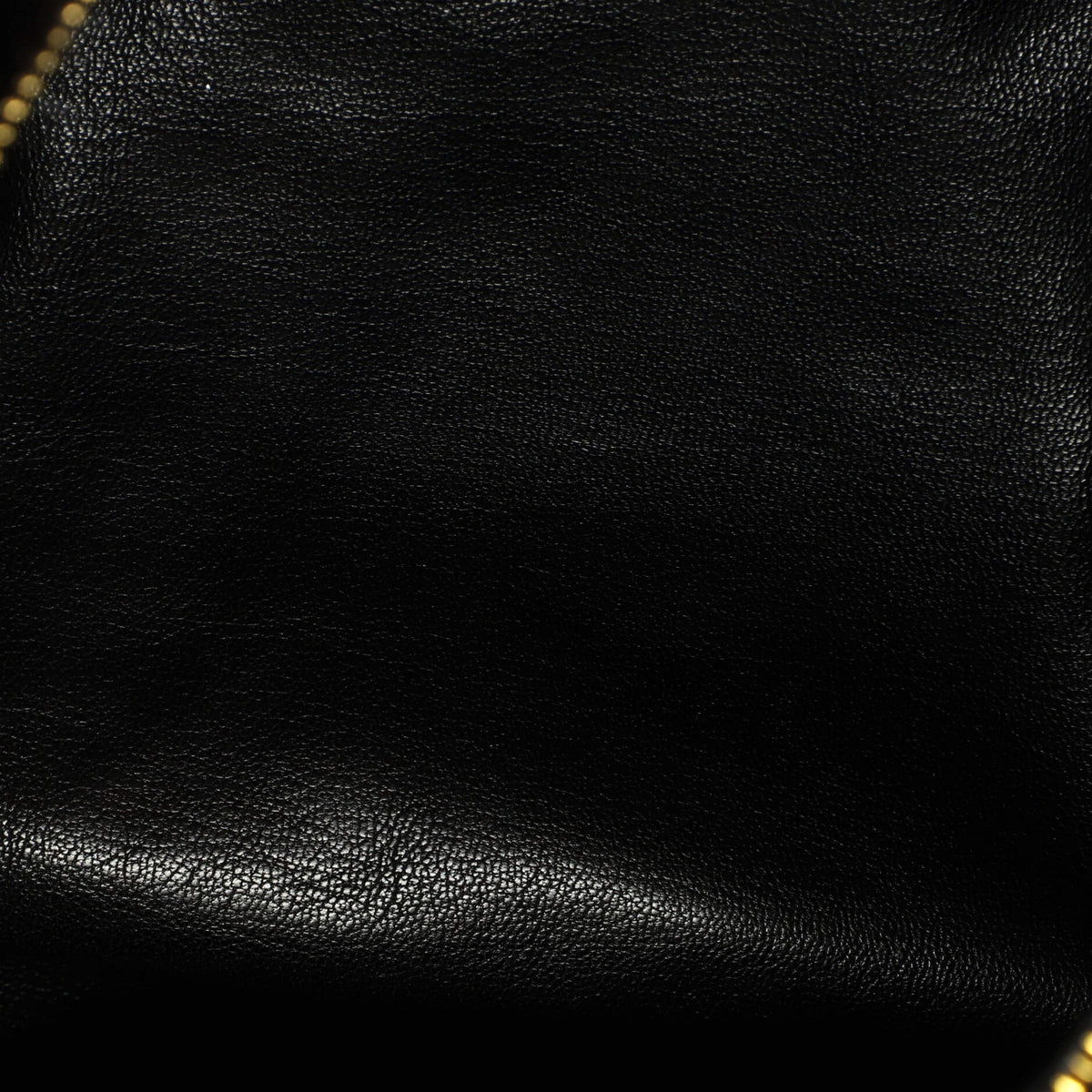 Louis Vuitton Speedy Handbag Limited