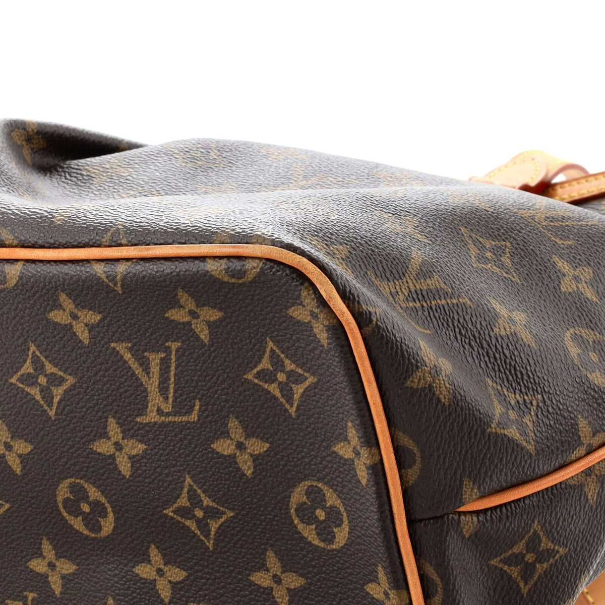 Louis Vuitton Palermo Handbag Canvas Pm