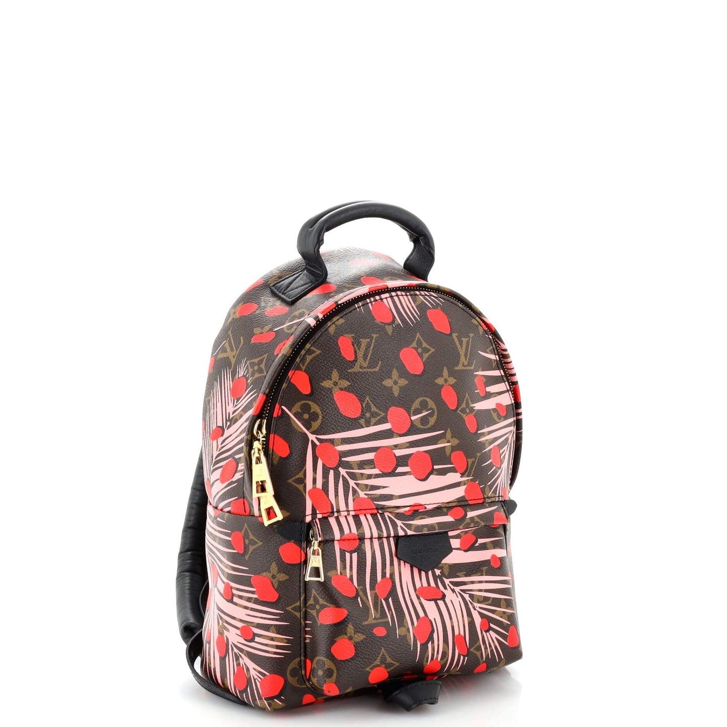 Louis Vuitton Palm Springs Backpack