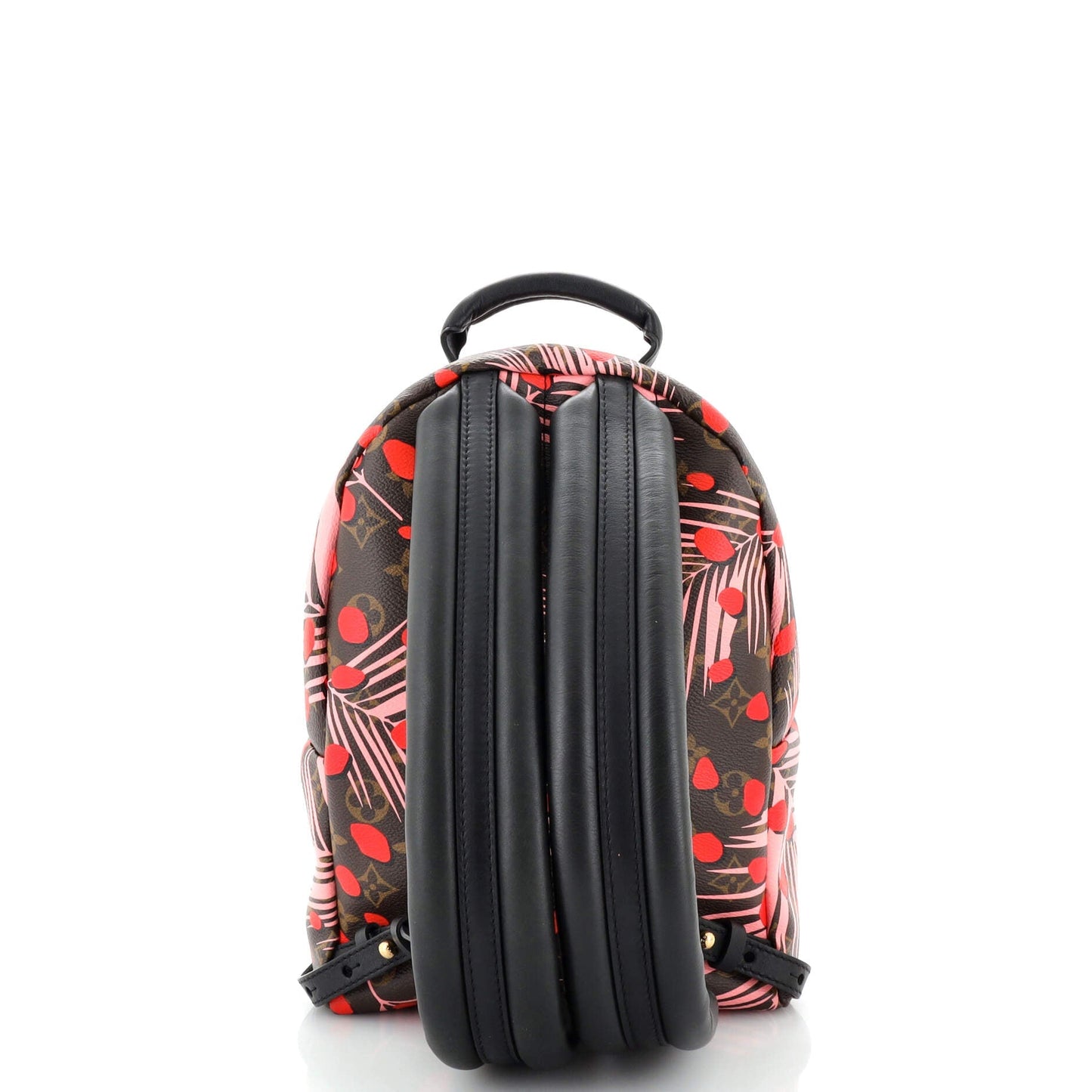Louis Vuitton Palm Springs Backpack
