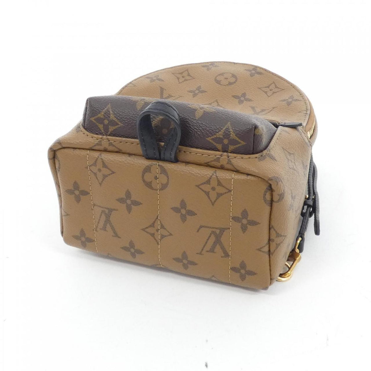Louis Vuitton Reverse Palm Springs