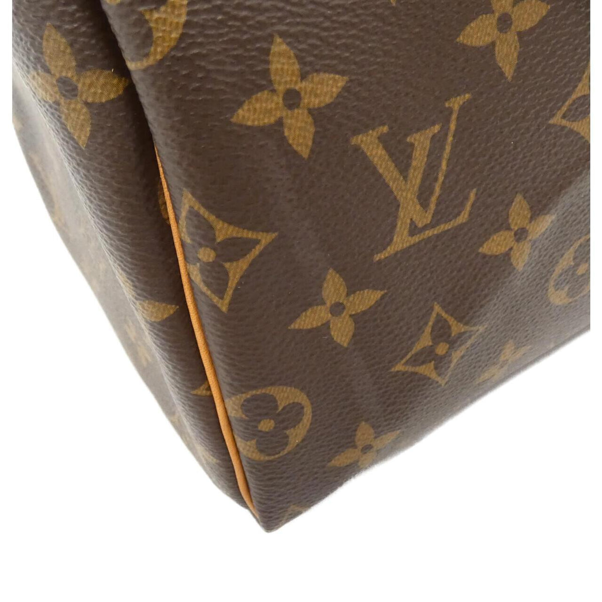 Louis Vuitton Speedy 25Cm Boston