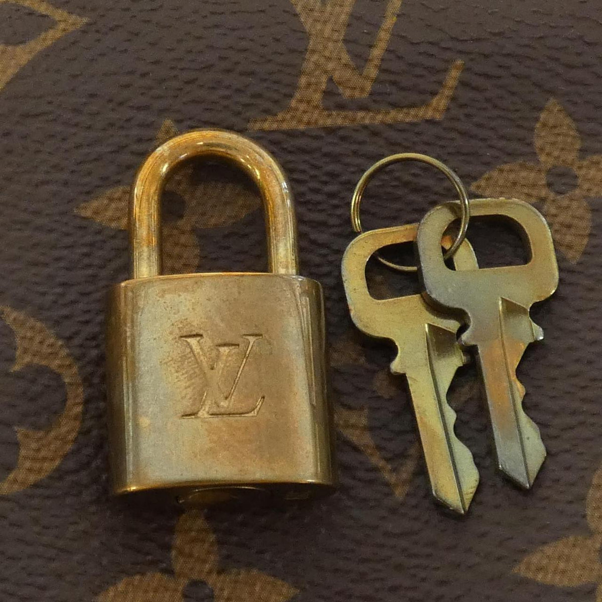Louis Vuitton Speedy 25Cm Boston