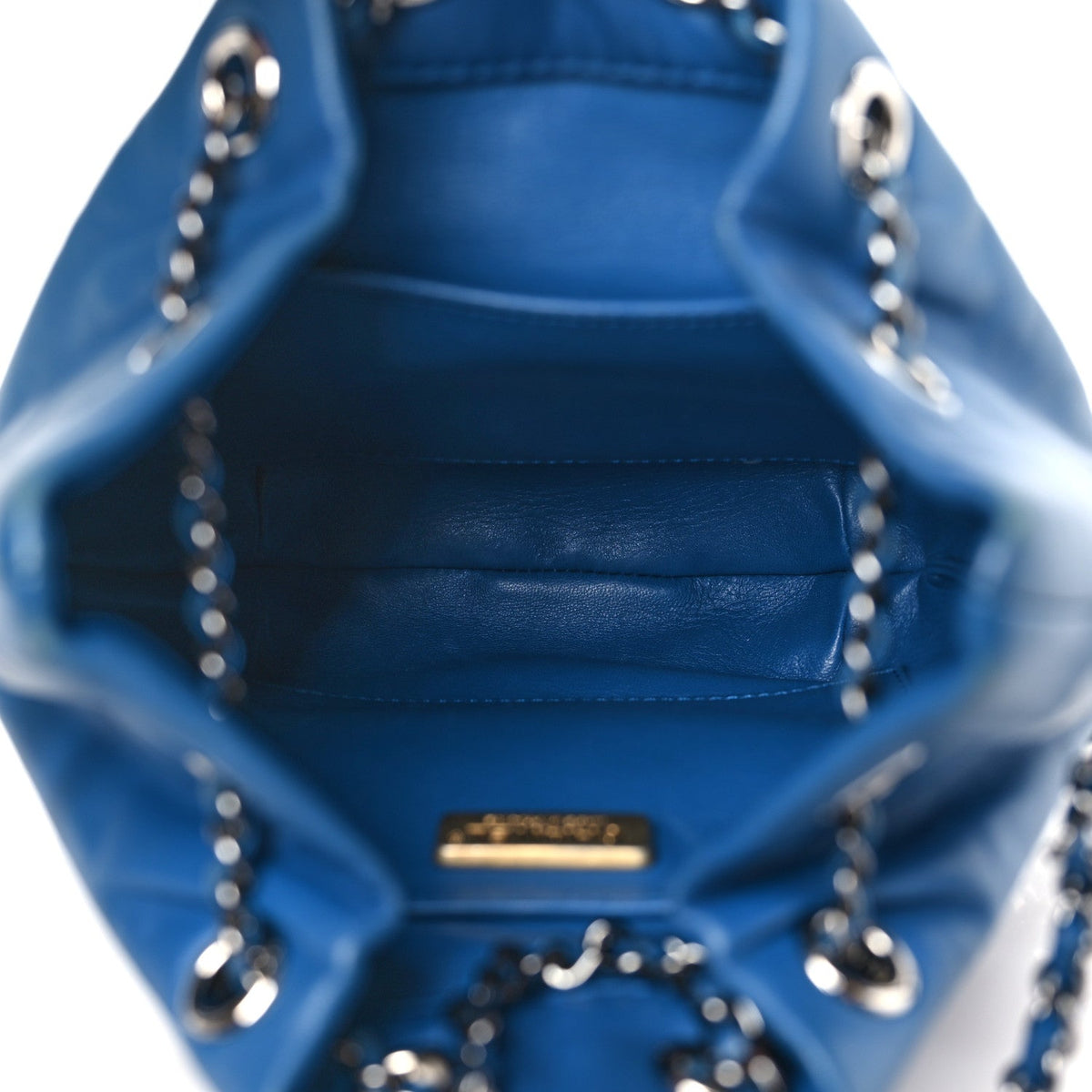 Chanel Snakeskin Calfskin Gabrielle