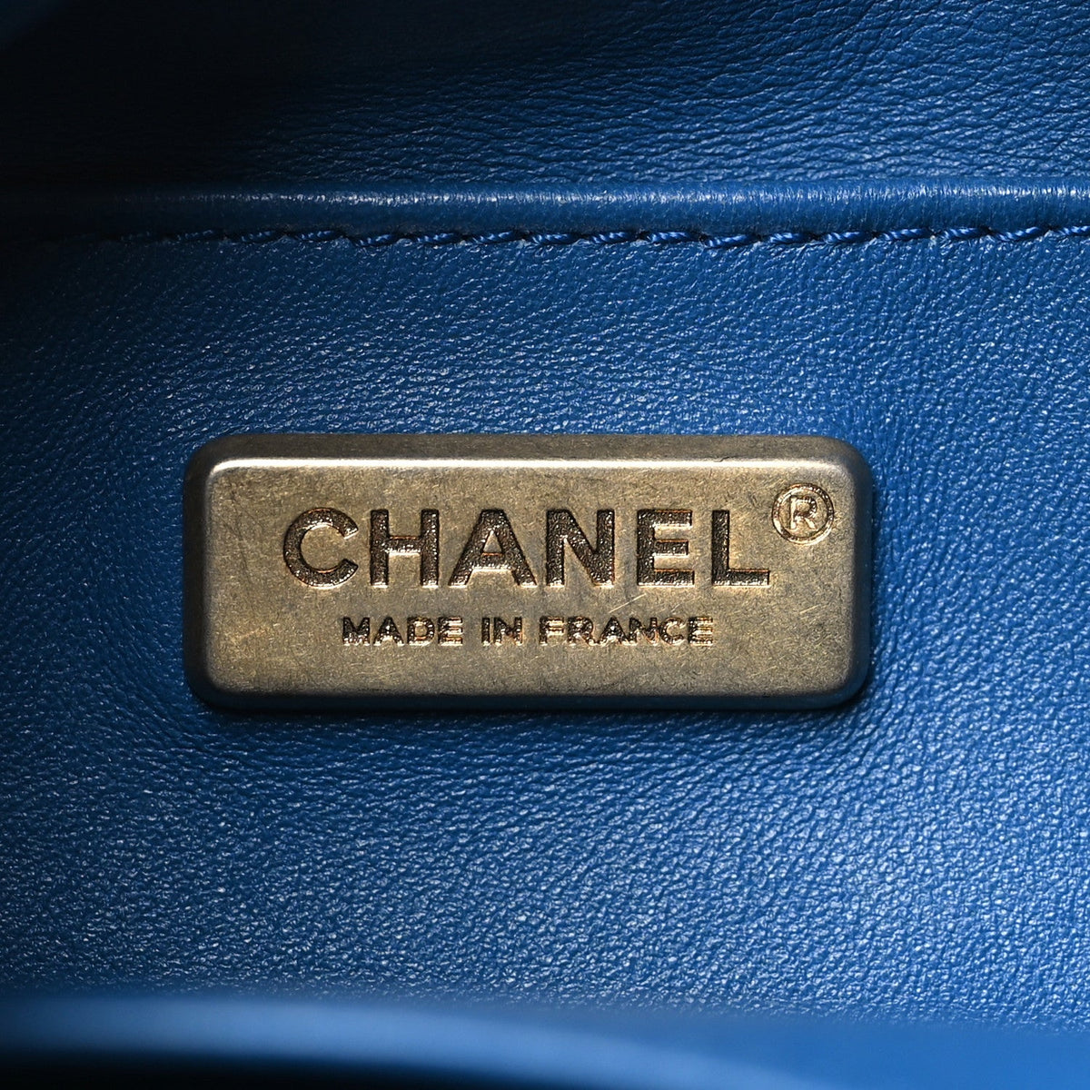 Chanel Snakeskin Calfskin Gabrielle