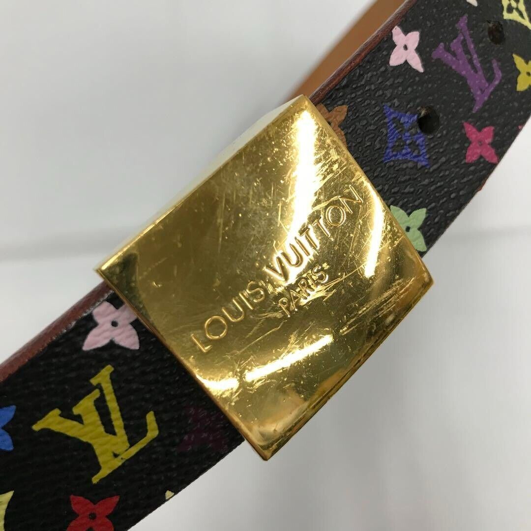 Louis Vuitton Multicolor Saint Tulle
