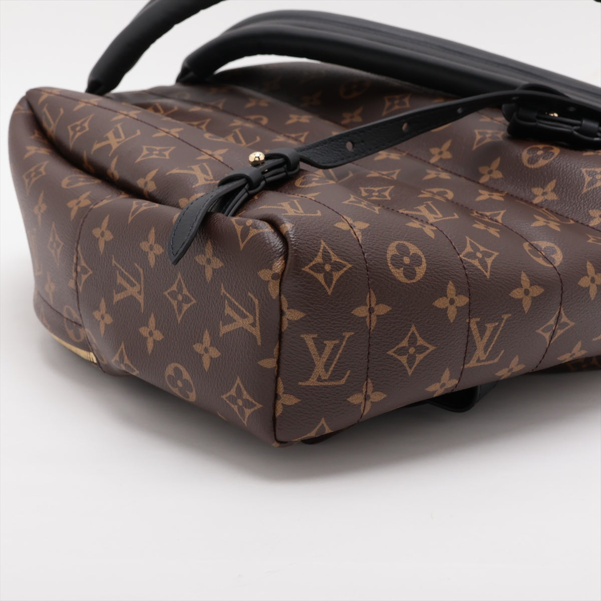 Louis Vuitton Monogram Palm Springs Bag Pack MM M44874