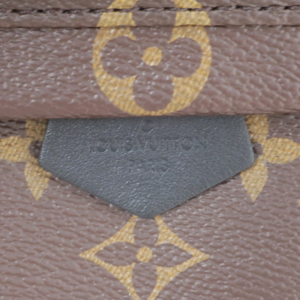 Louis Vuitton Palm Springs World Tour Backpack MINI M42971