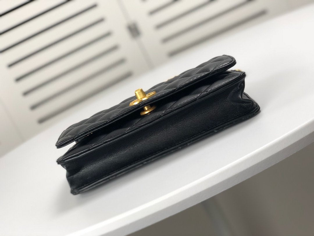 Luxury Edition Bags CH-L 221