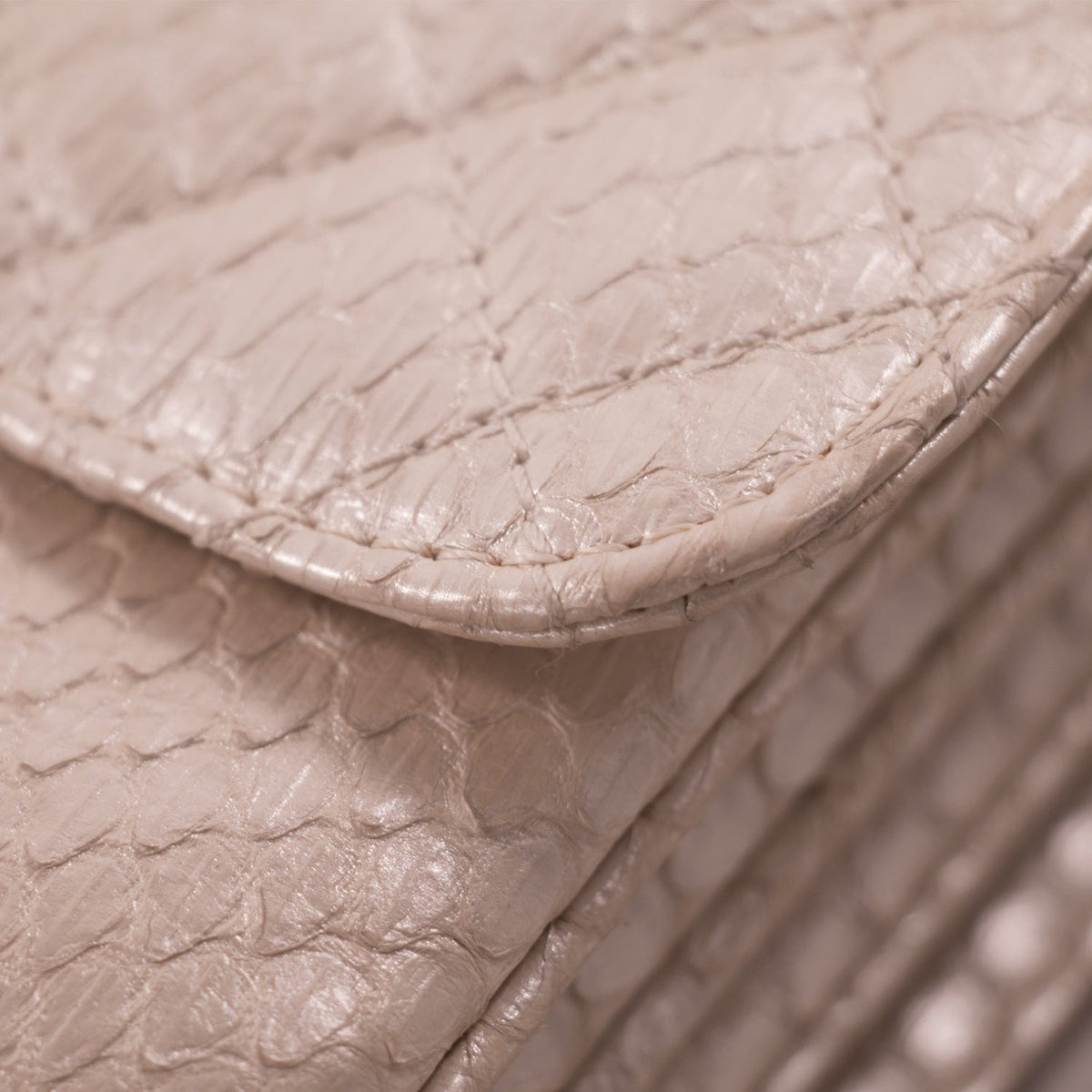 Chanel Python Mini Flap Bag