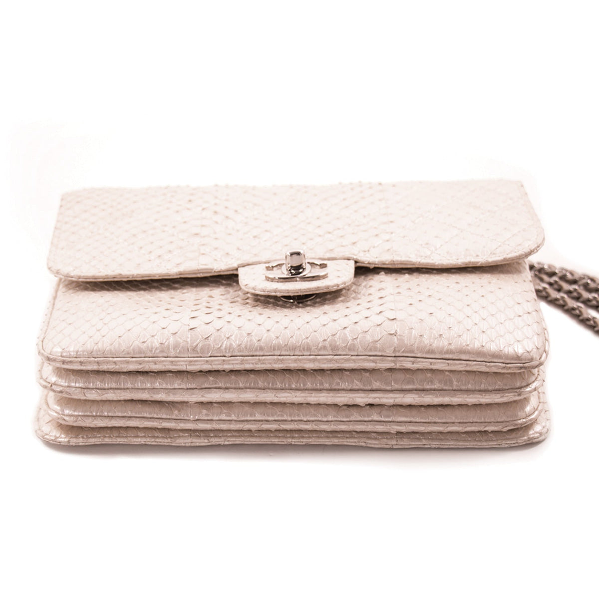 Chanel Python Mini Flap Bag