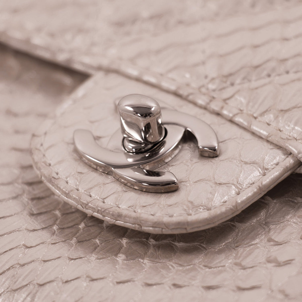 Chanel Python Mini Flap Bag