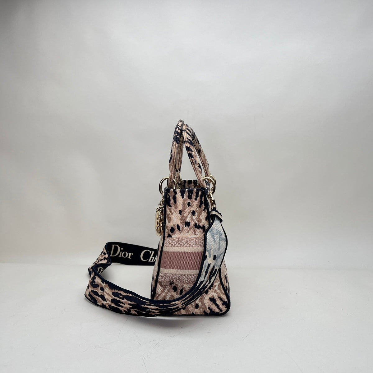 Lady D-lite Medium Multi-colour Top Handle Bag in Canvas, Light Gold hardware