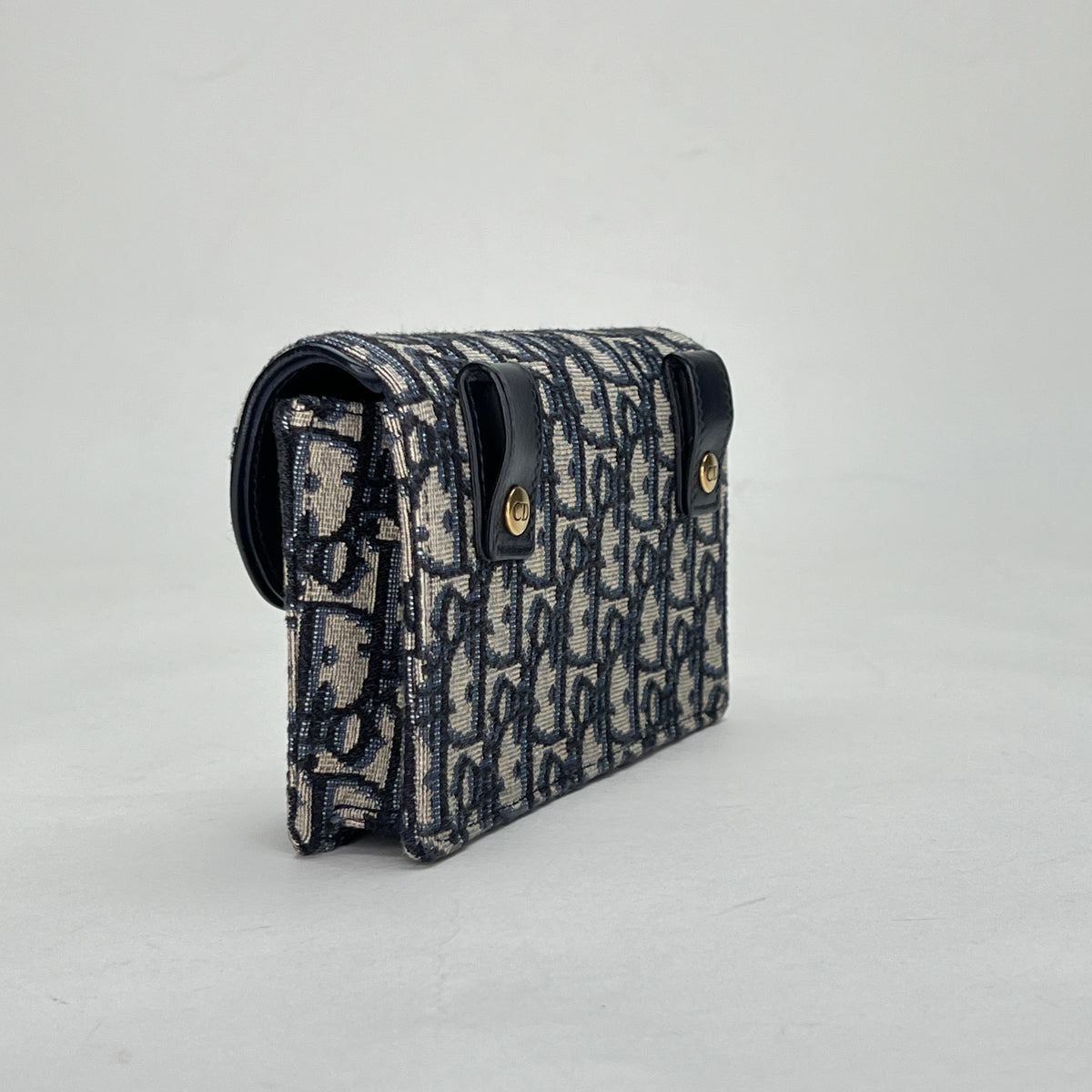 Oblique Saddle Beige Belt Bag in Jacquard, Gold hardware