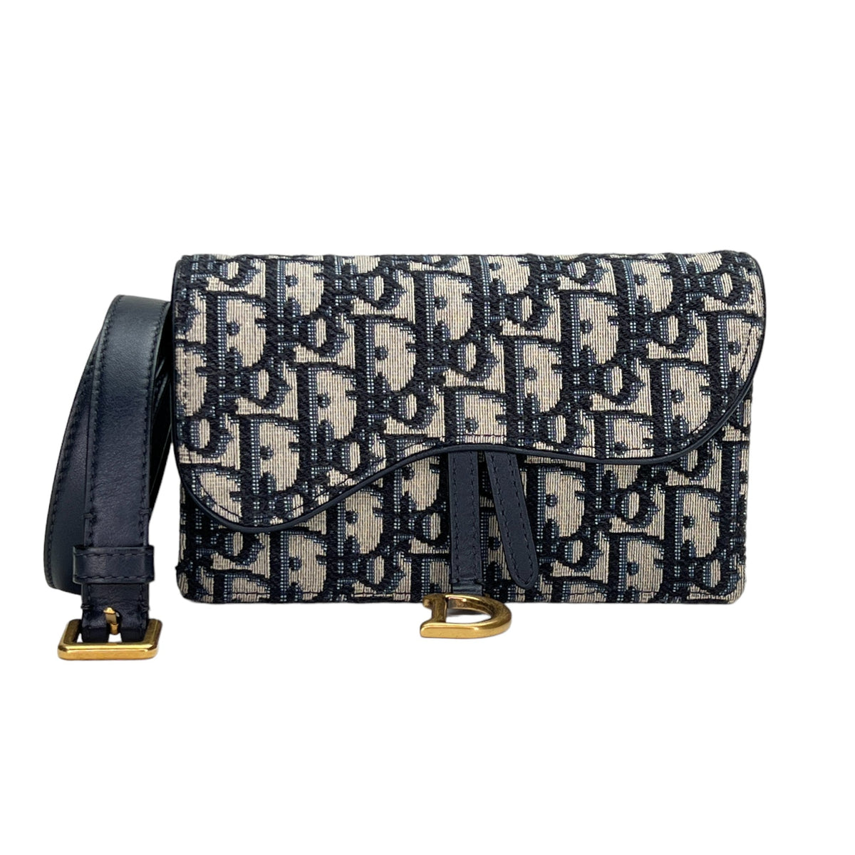 Oblique Saddle Beige Belt Bag in Jacquard, Gold hardware