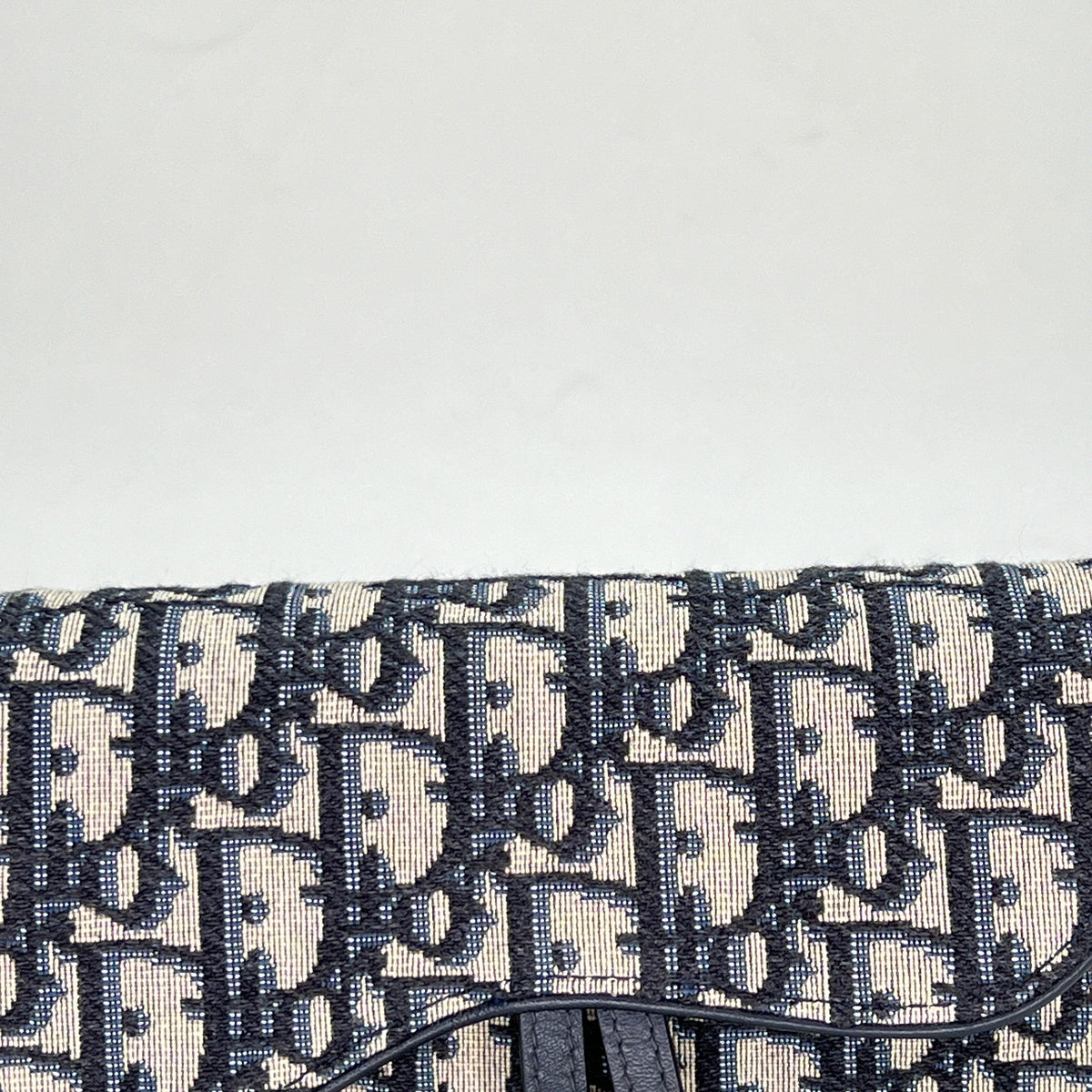Oblique Saddle Beige Belt Bag in Jacquard, Gold hardware
