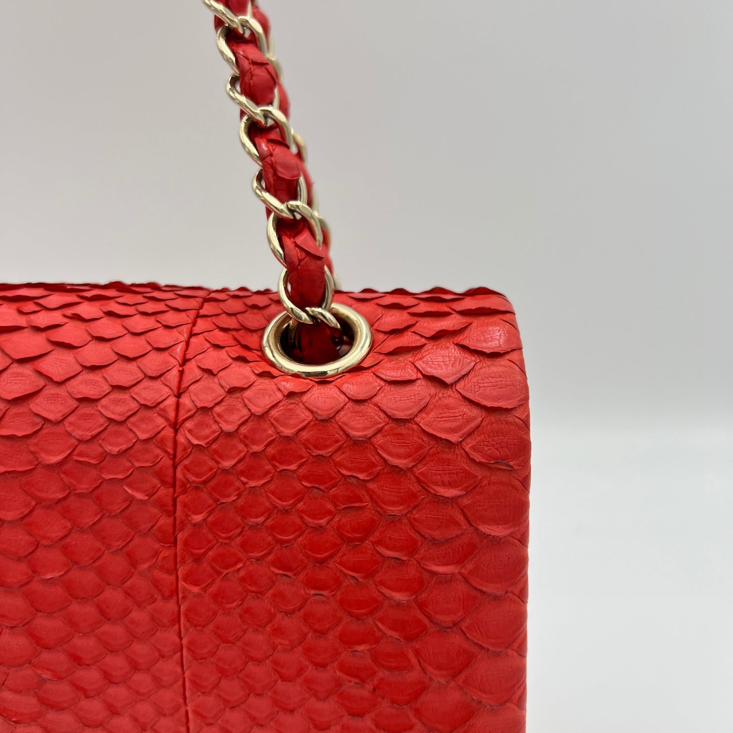 Classic Double Flap Medium Red Shoulder Bag in Python Leather, Gold hardware