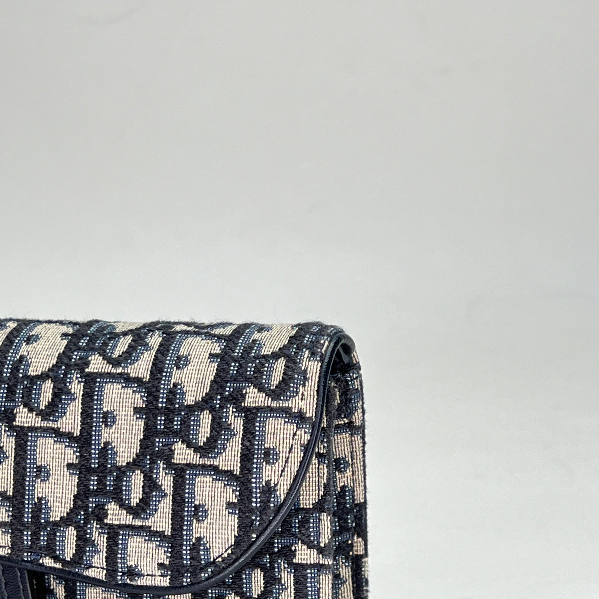 Oblique Saddle Beige Belt Bag in Jacquard, Gold hardware