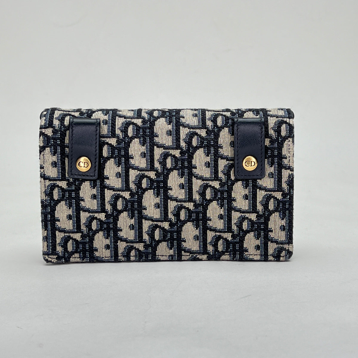 Oblique Saddle Beige Belt Bag in Jacquard, Gold hardware