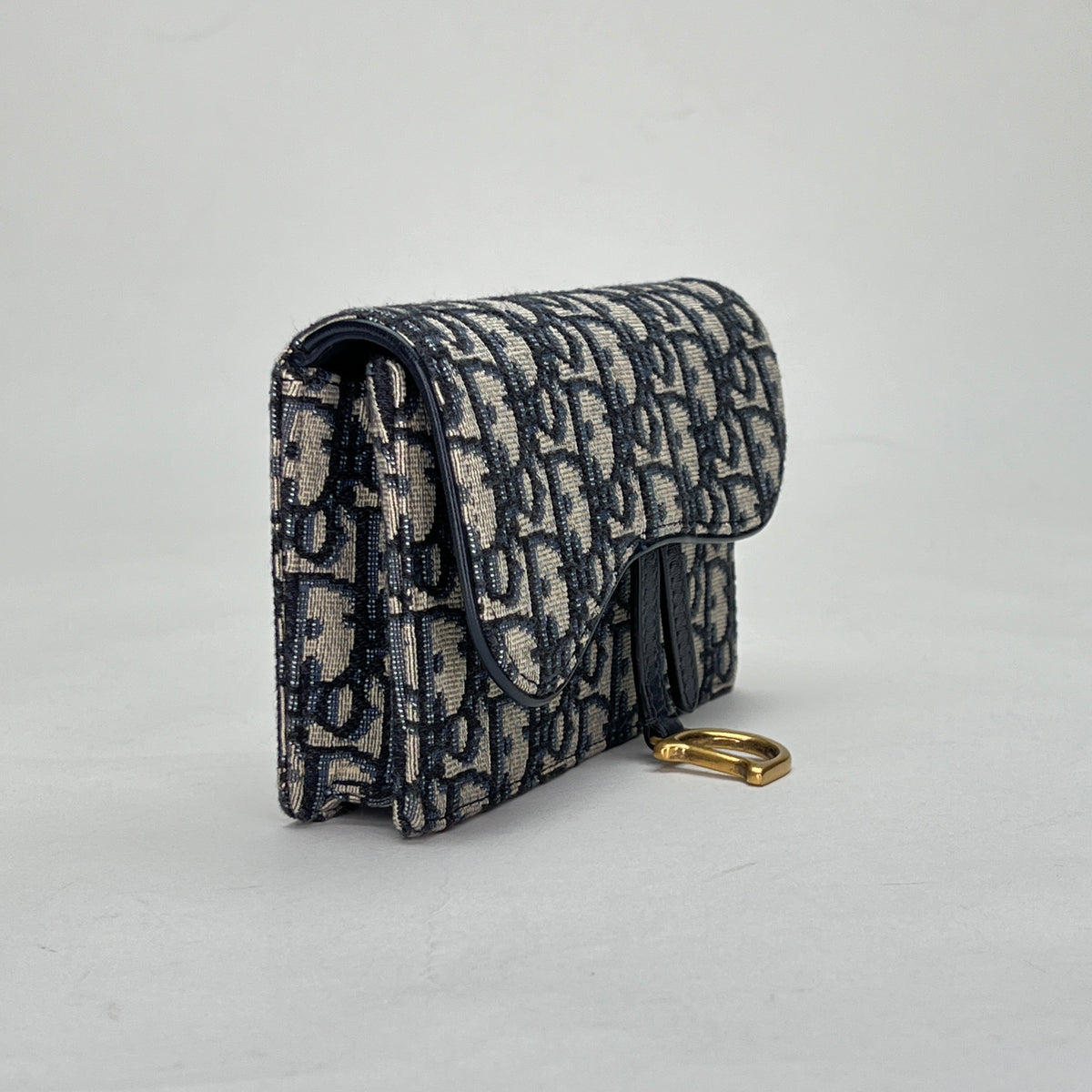 Oblique Saddle Beige Belt Bag in Jacquard, Gold hardware