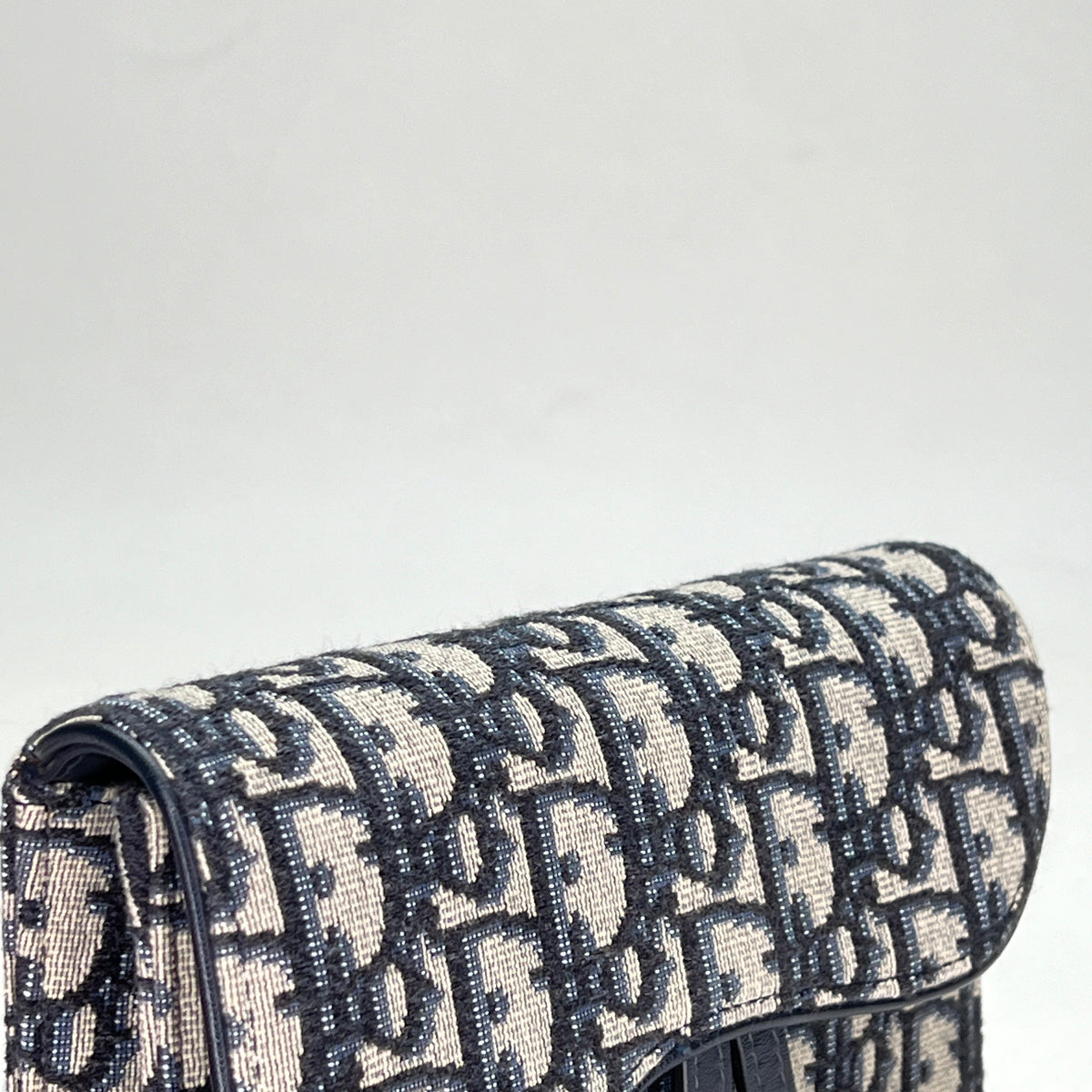 Oblique Saddle Beige Belt Bag in Jacquard, Gold hardware