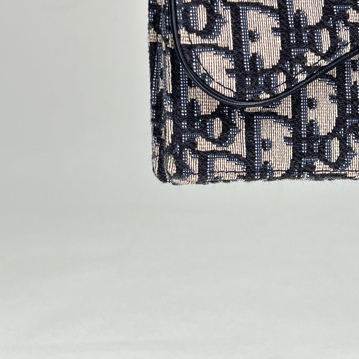 Oblique Saddle Beige Belt Bag in Jacquard, Gold hardware