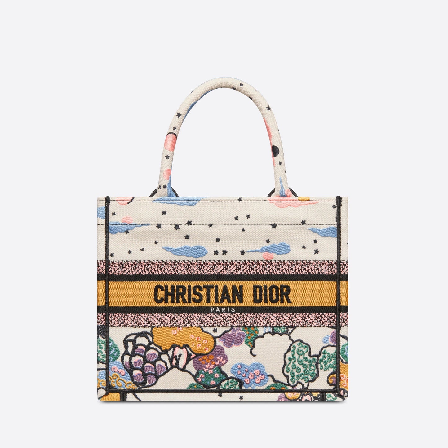SMALL DIOR BOOK TOTE