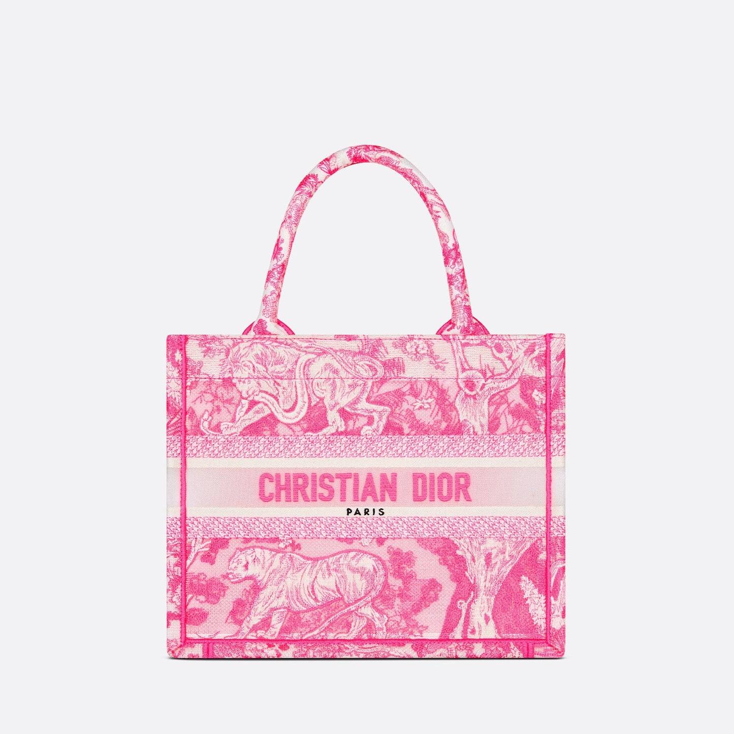 SMALL DIOR BOOK TOTE
