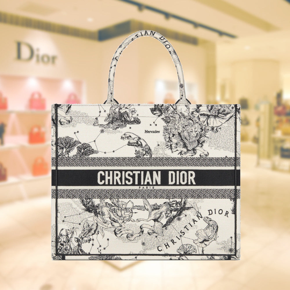 LARGE DIOR BOOK TOTE