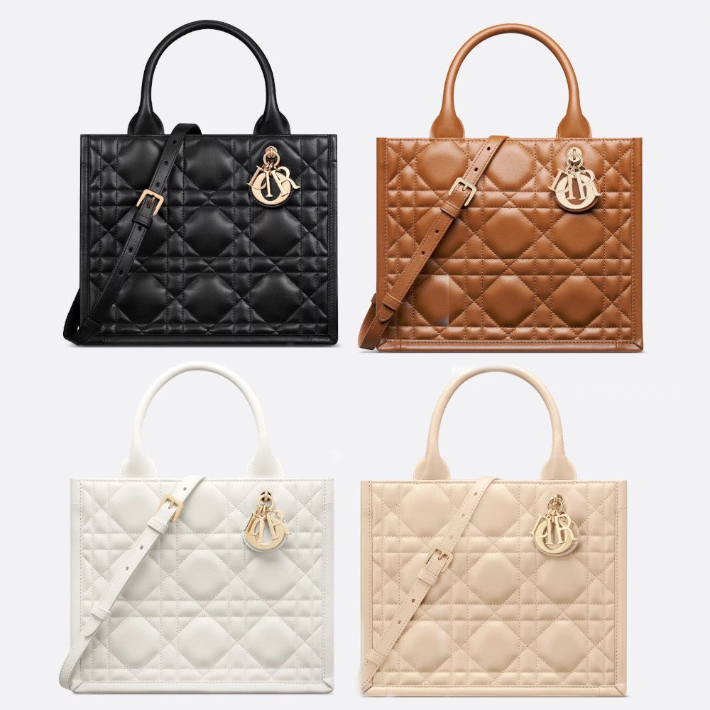 Small Dior Book Tote