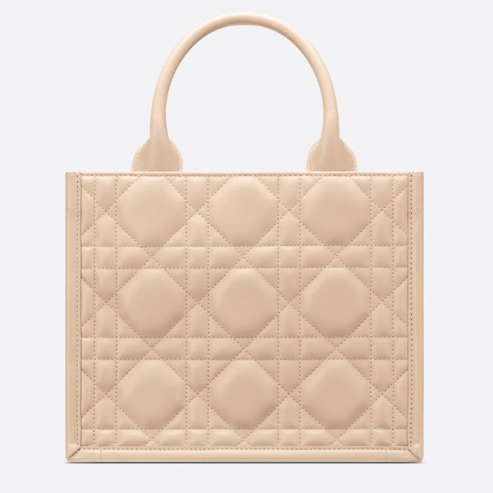Small Dior Book Tote